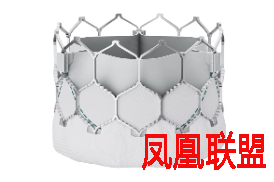 杨瀚森将出战NBA全明星新秀赛--文旅·体育--人民网 